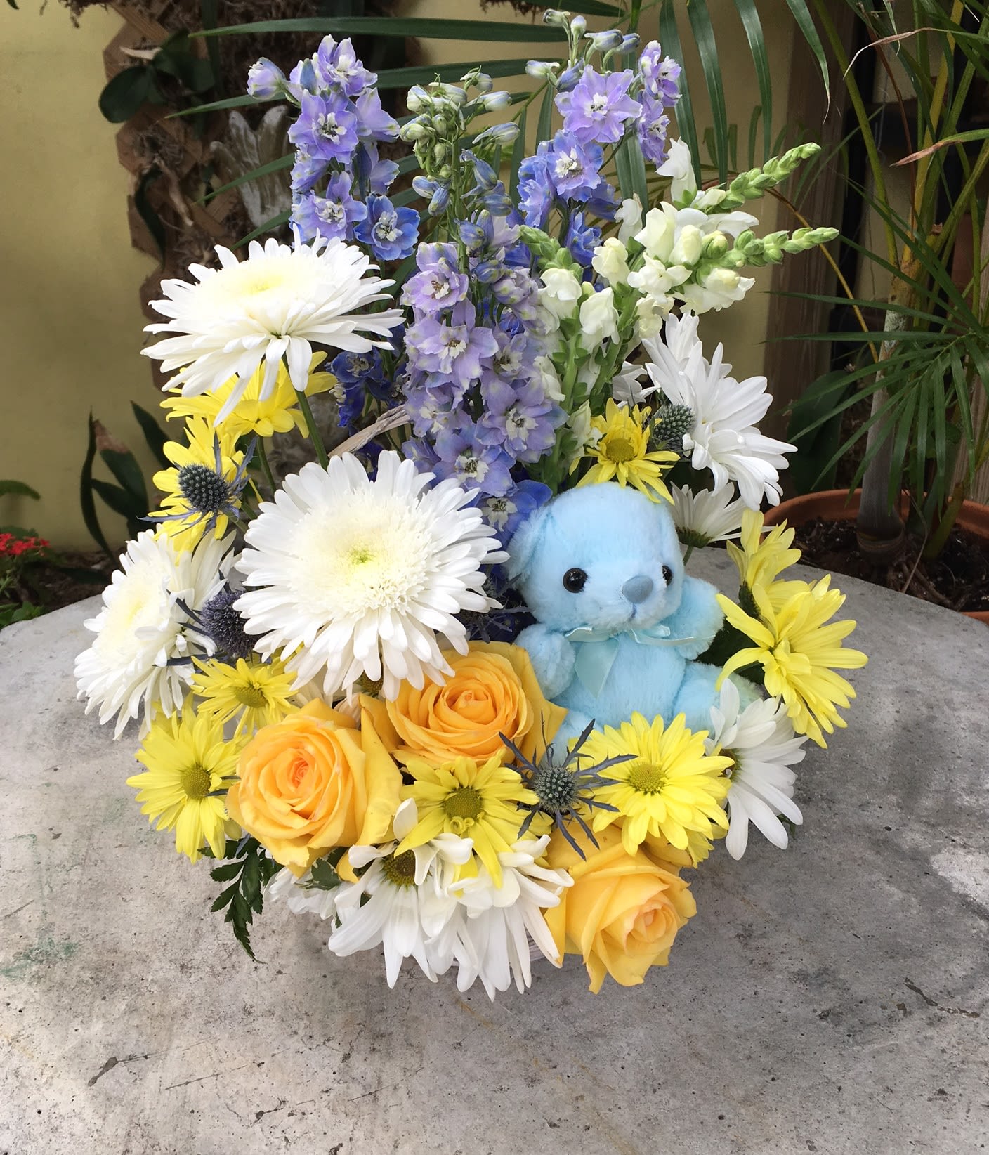 Baby Boy Basket in Fort Lauderdale, FL | Victoria Park ...