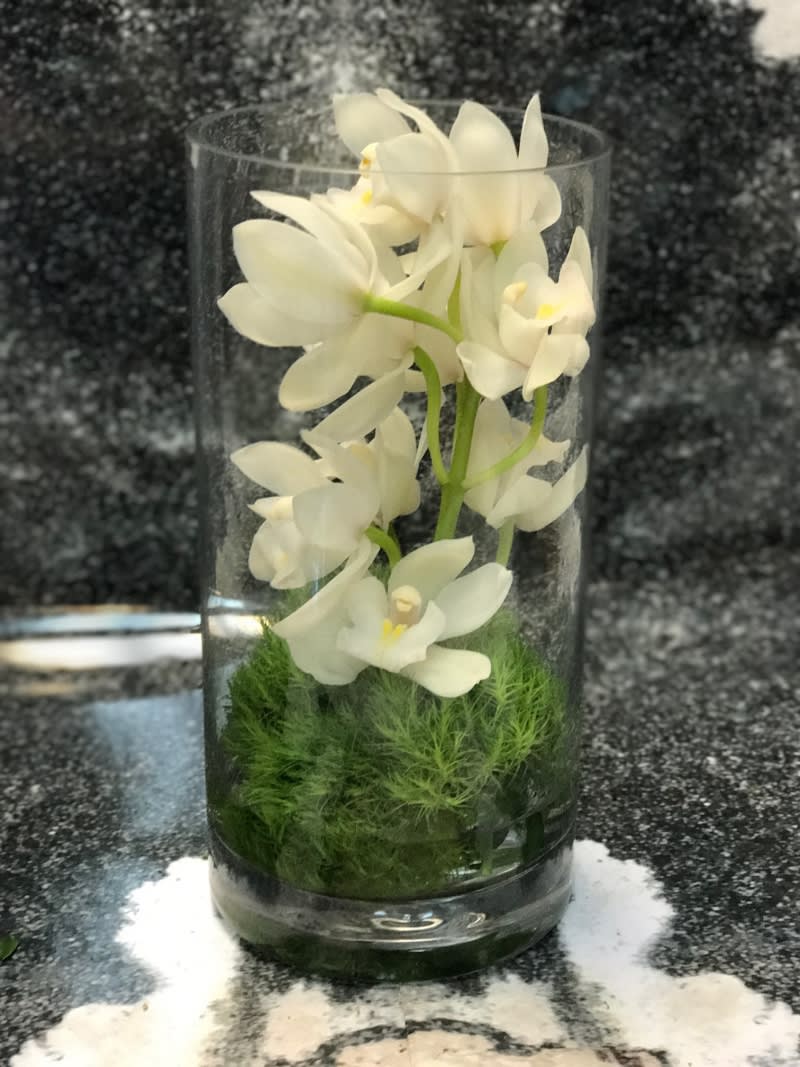 Short White Cymbidium Orchid Cylinder By Victoria Park Flower Studio Short White Cymbidium Orchid Cylinder By Victoria Park Flower Studio
