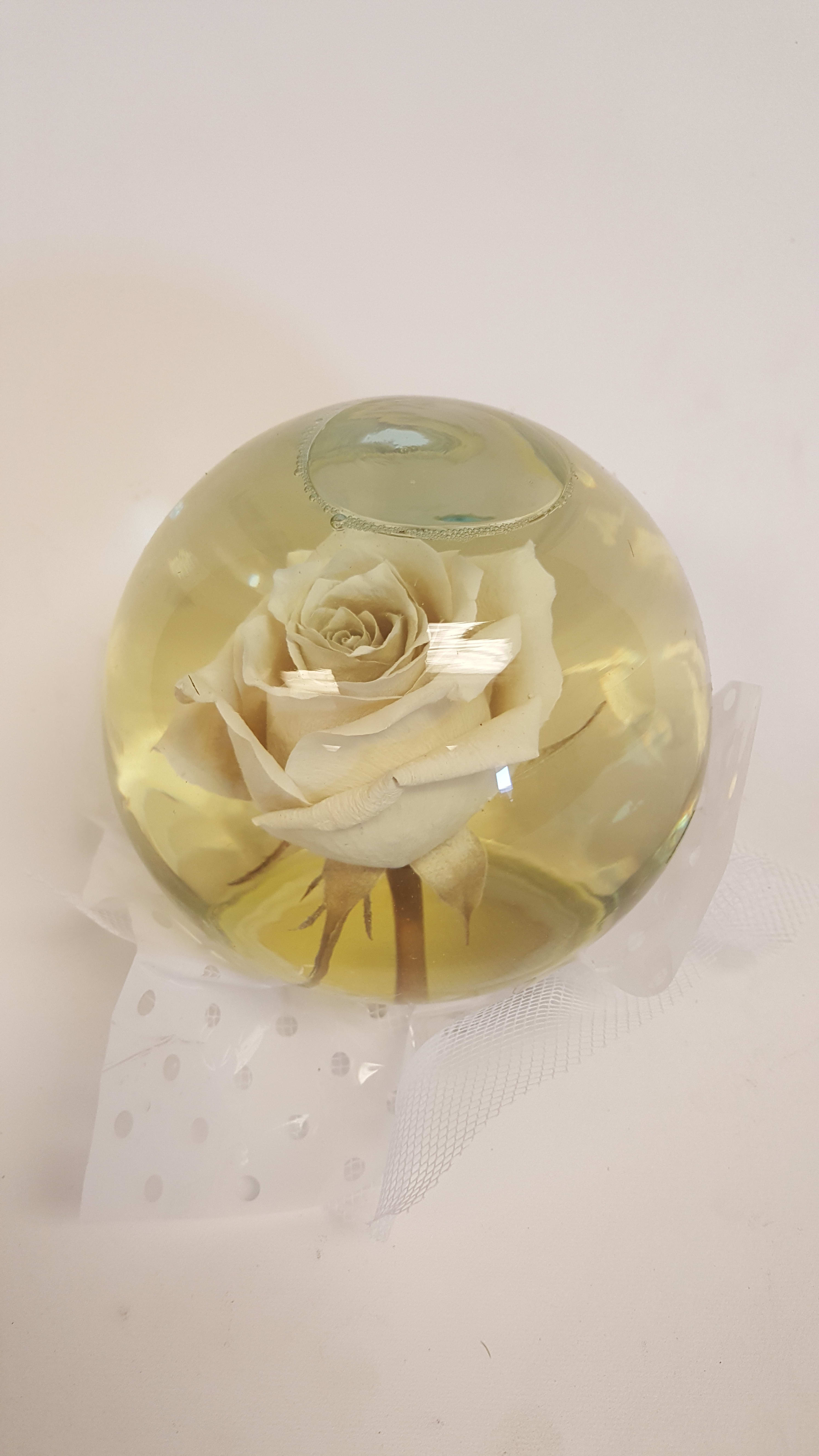 Exclusive Flowers And Gifts Llc Rose In Peoria Az