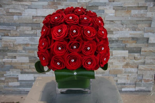 red roses red roses - red roses