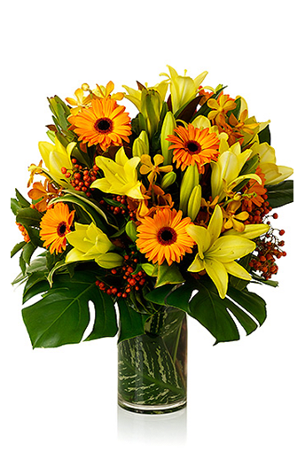 yellow sunshine yellow sunshine - bright yellow lily gerber daisy brighten the days of everyone.