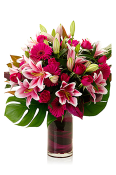 hot pink flowers hot pink flowers - hot pink flowers gerbers roses stargazer stunning