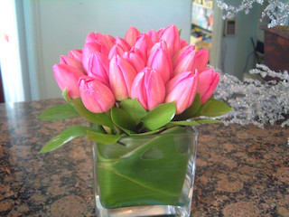 pink tulips 10 stem - pink tulips 10 stems