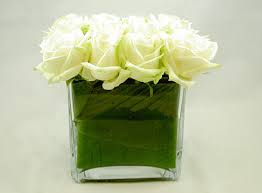white roses - white roses in square vase