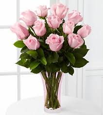 dozen pink roses dozen pink roses - dozen pink roses in vase
