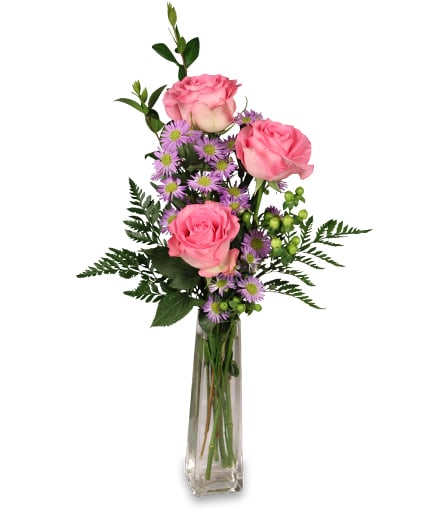 pink roses bud vase pink roses bud vase - pink roses in budvase