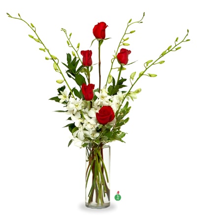 Pure Elegance - Give someone the gift of style – send this tall, slim arrangement of red roses and white orchids, simply arranged in a clear glass vase. Featuring two of nature’s most sophisticated blooms, it’s a graceful display that embodies pure elegance.