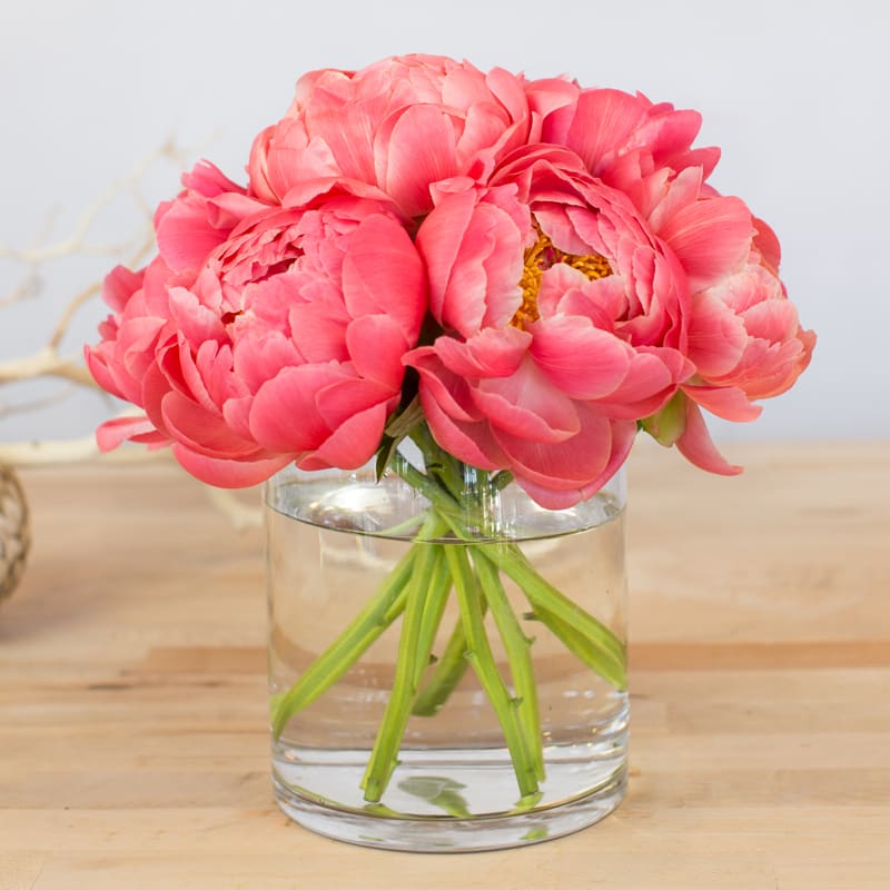 Pink Peony Arrangement (Clear) in Las Vegas, NV Miss Daisy