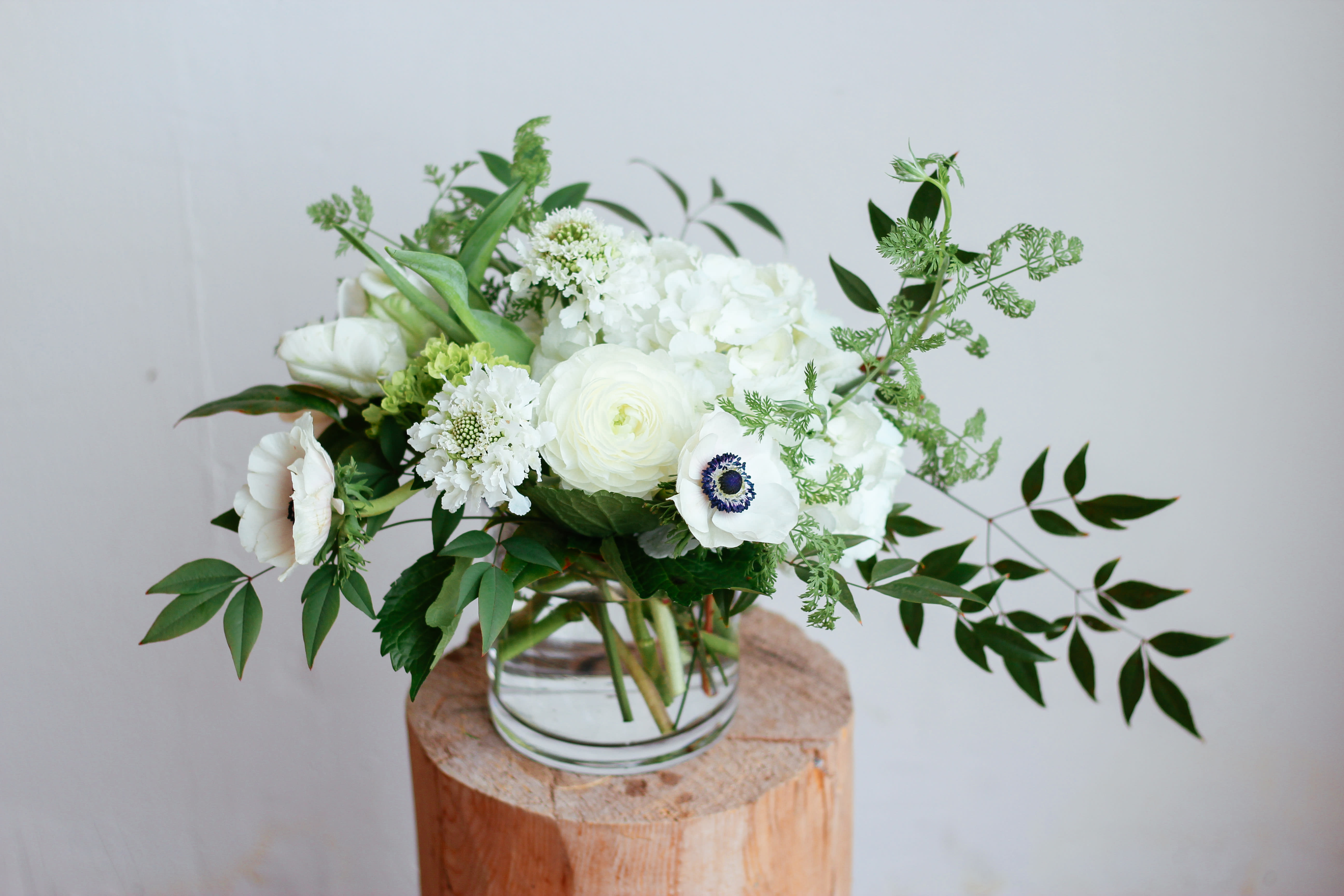Fresh and Green in Tyler, TX | Moss "Where Flowers are Fair"
