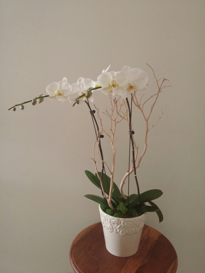 Elegance In West Palm Beach Fl Burst Of Class Florist