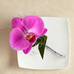 The FTD® Glorious™ Boutonniere -  The FTD® Glorious™ Boutonniere is an elegant way to bring a soft sophistication to you’re the overall look to the men in your wedding party. A single fuchsia phalaenopsis orchid bloom is accented with fresh greens, lavender French taffeta ribbon and silver and purple wire to create a noticeably dramatic look of elegance and distinctive grace. 