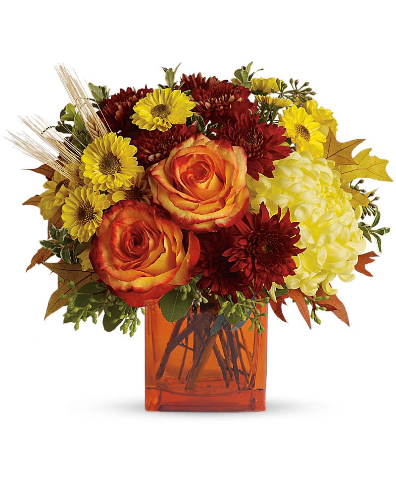 Teleflora's Autumn Expression - Autumn is an awesome season and it's meant to be celebrated in style. Rich fall hues are on brilliant display in this beautiful arrangement that comes delivered in a classic cube vase. The stylish contemporary arrangement includes yellow cushion spray chrysanthemums bi-color orange roses rust cushion spray chrysanthemums yellow disbud chrysanthemum and yellow Viking spray chrysanthemums accented with assorted greenery. Delivered in an orange cube vase.