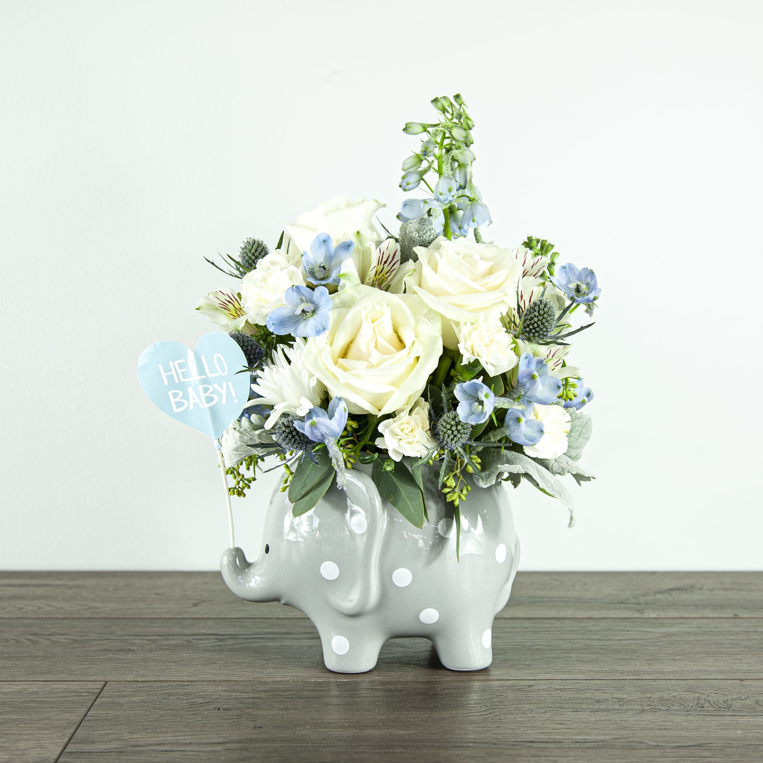 Baby Elephant In Blue and White (EXP 56A) in Placentia, CA