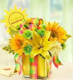 All Wrapped Up - Yellow All Wrapped Up - Yellow - Product ID: 98936 EXCLUSIVE Let the sun shine in. Send a gift that brings instant smiles to their day with our radiant arrangement of brilliant yellow lilies, carnations and sunflowers. Gathered by hand in a chic cube vase, it's finished with a vibrant plaid ribbon and yellow foam liner, to deliver a smile that's wrapped and ready. ⢠The freshest yellow lilies, sunflowers and carnations, gathered with green poms, bright solidago and variegated pittosporum ⢠Hand-arranged in a stylish glass cube vase lined with a yellow foam strip; vase measures 5"H x 5"D ⢠Arrangement measures approximately 11"H x 9"L ⢠Our florists select the freshest flowers available so floral colors and varieties may vary ⢠Lilies may arrive in bud form and will open to full beauty over the next 2-3 days Add more lasting smiles to your gift: ⢠A sun-shaped floral pick that tells your lucky recipient "You are my sunshineâ¢" (Shown)
