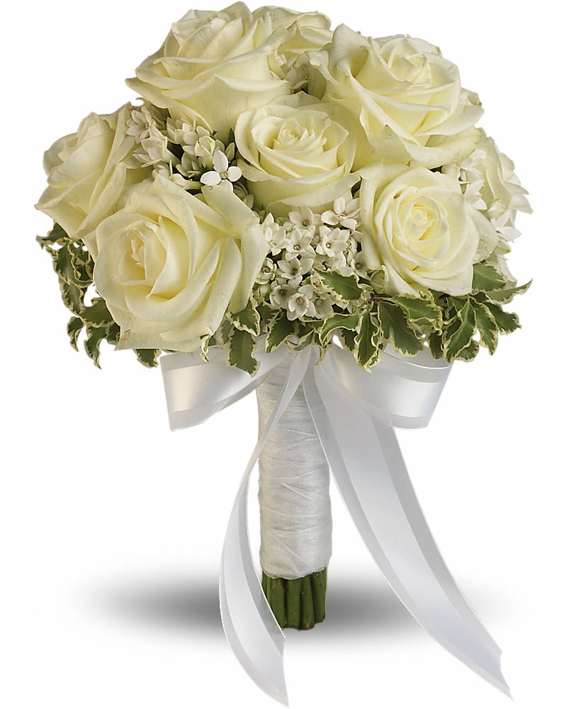 Lacy Rose Bouquet - Delicate white bouvardia and pittosporum lend a lacy look to this breathtaking bouquet of white roses, wrapped with sheer organza ribbon. White roses and bouvardia contrasted by variegated pittosporum.