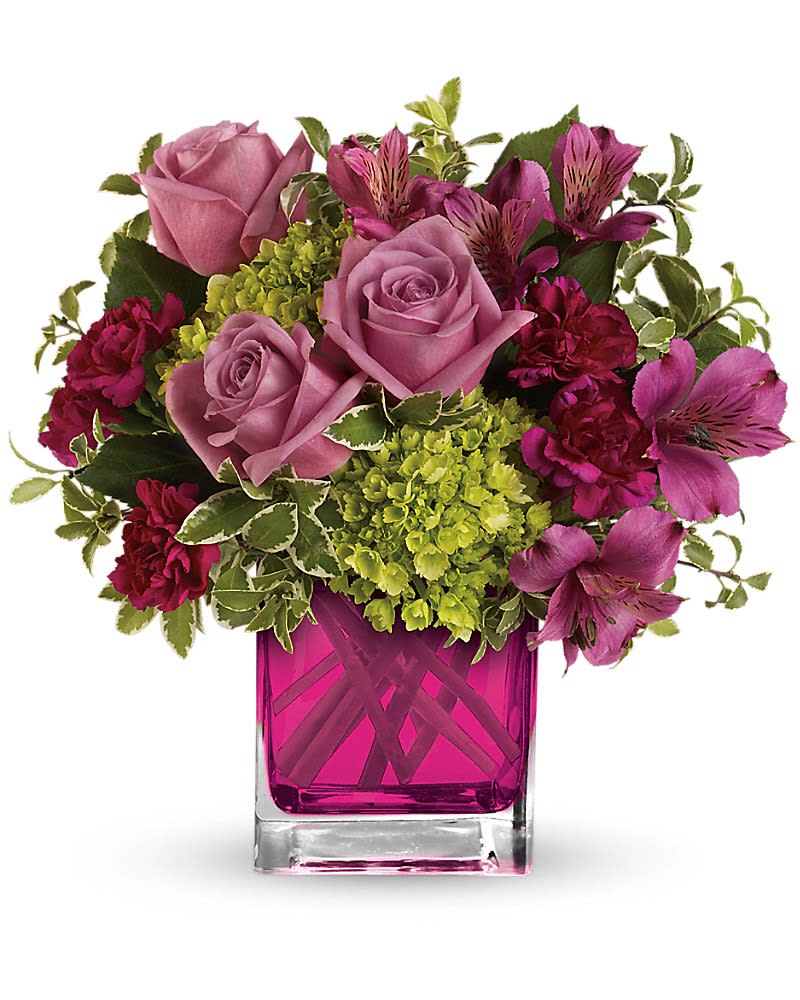 Splendid Surprise by Teleflora - Sweet as can be. This lovely arrangement includes green miniature hydrangea and lavender roses arranged in our adorable fuchsia cube. Green miniature hydrangea, lavender roses, purple alstroemeria and maroon miniature carnations accented with greens. Delivered in Teleflora&#039;s glass fuchsia cube.