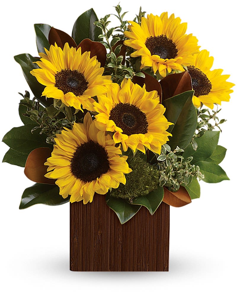 You&#039;re Golden Bouquet by Teleflora - Rise and shine! Send her a sunrise with this golden bouquet of bright-as-day sunflowers. It&#039;s the perfect gift for the light of your life. Bold, bright sunflowers are arranged with delicate oregonia, magnolia leaves, lemon leaf and moss. Delivered in a Bamboo Cube.