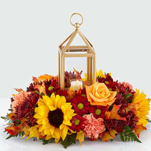 The FTD® Giving Thanks Centerpiece The FTD® Giving Thanks Centerpiece - Inspired by the gorgeous colors of autumn, our Giving Thanks Centerpiece is the perfect addition to every celebration this season. A collection of orange roses, sunflowers and pompons are complimented by a stunning lantern and bright glycerized oak leaves for a natural touch. Whether they’re coming from near or far, this is the perfect piece to show you’re grateful and light up the Thanksgiving table. GOOD centerpiece is approx. 6"H x 15"W. BETTER centerpiece is approx. 6"H x 17"W. BEST centerpiece is approx. 7"H x 20"W.