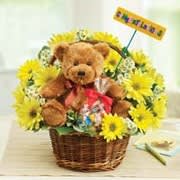 New Baby - Lotsa Love New Baby - Lotsa Love - Product ID: 95454 EXCLUSIVE Welcome the new arrival and congratulate the proud parents with three unforgettable expressions. A stylish basket arrangement of cheerful bright blooms will delight the new parents, while our adorable plush bear brings happiness to baby's room. As a sweet finishing touch, our florists add a bag of delicious candy treats they can share and enjoy -- just like the treasured memories you're guaranteed to create. Basket measures 8"H. Plush measures 10"H and is safe for ages 3 and up. Candy assortment may vary. Arrangement measures approximately 12"H x 12"L. Our florists select the freshest flowers available so colors and varieties may vary