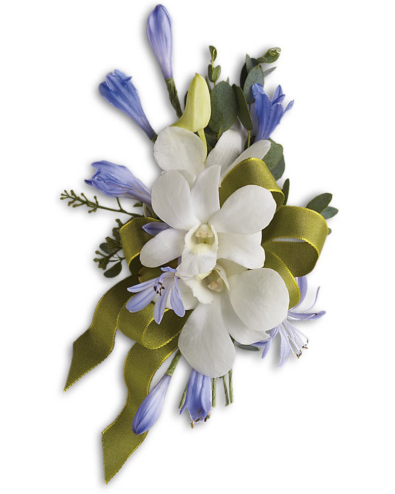 Blue and White Elegance Corsage - Reach for the sky with blue agapanthus and white dendrobium orchids. Blue agapanthus and white dendrobium orchids are bundled with eucalyptus.