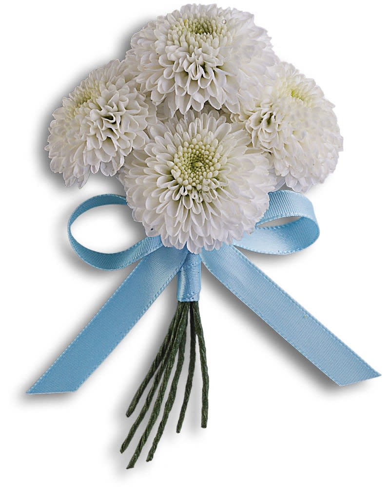 Country Romance Boutonniere - Simple, casual elegance: white button mums tied with blue satin ribbon. White button chrysanthemums tied with blue satin ribbon.
