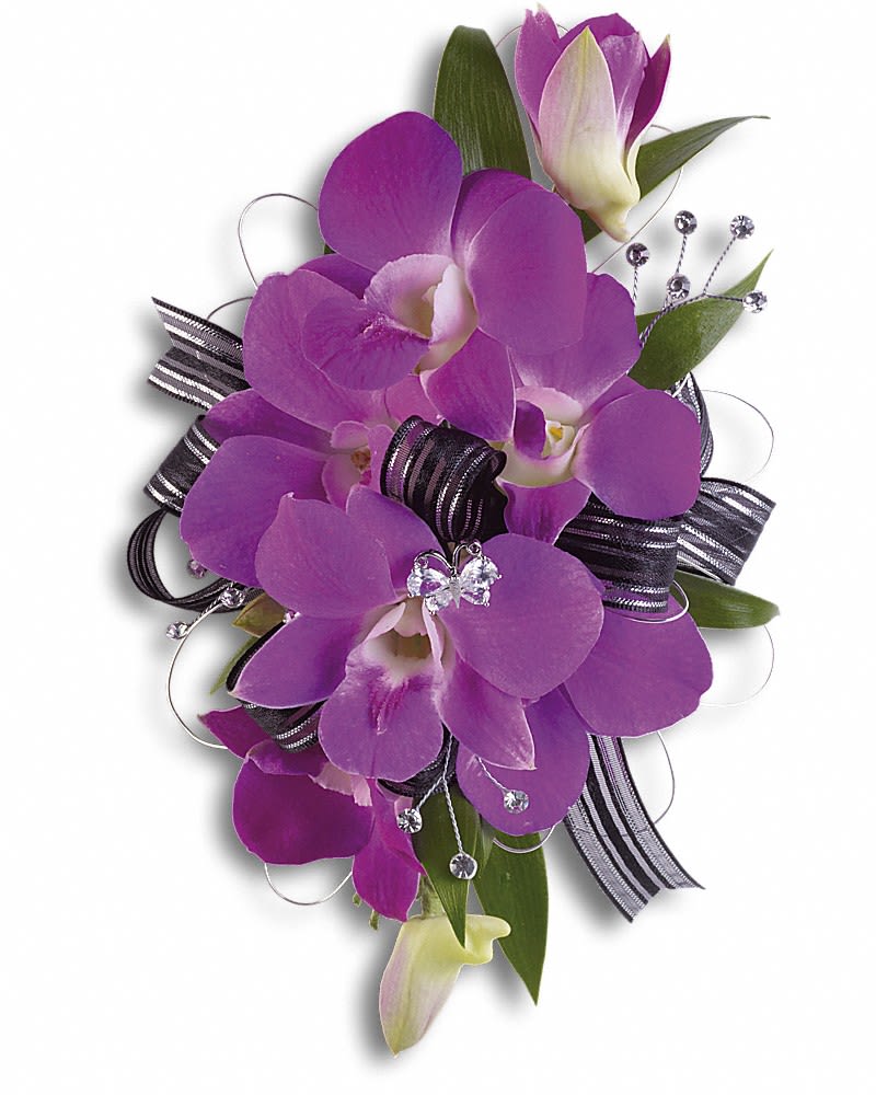 Purple Promise Wristlet - Royally elegant with dramatic purple dendrobium orchids. Purple dendrobium orchids and Italian ruscus.