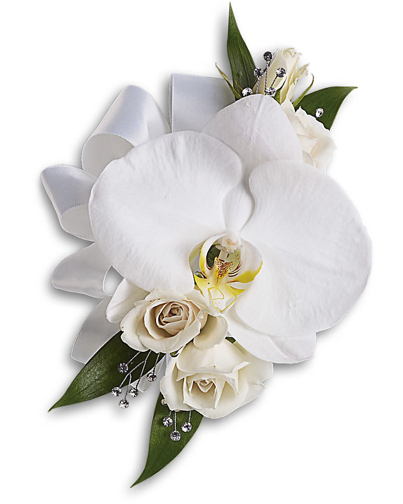 White Orchid and Rose Corsage - Stunning, snow-white blooms are both elegant and versatile. A lovely white phalaenopsis orchid with white spray roses and Italian ruscus.