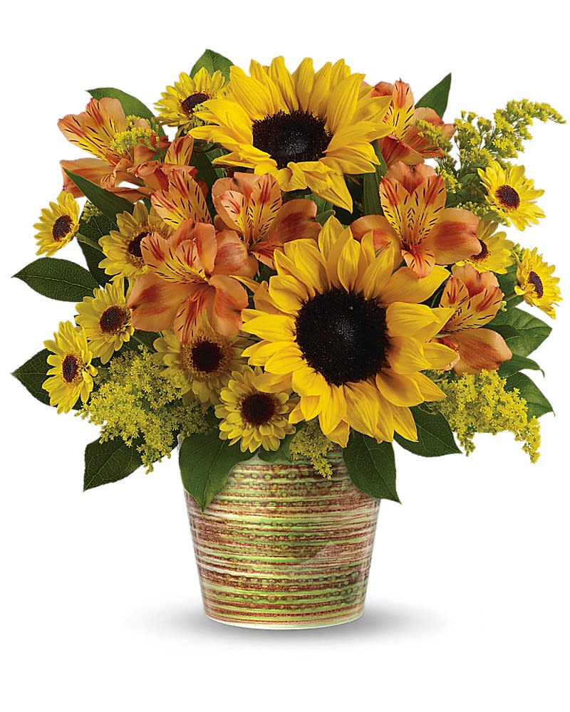 Teleflora's Grand Sunshine Bouquet Teleflora's Grand Sunshine Bouquet - Light up their day with this sunshine-y bouquet! Bursting with golden sunflowers and orange alstroemeria, this heart-warming arrangement is hand-delivered in a beautifully glazed ceramic cachepot made in Portugal. It's sure to delight! This sunny bouquet is made up of orange alstroemeria, small yellow sunflowers, yellow Viking daisy spray chrysanthemums, solidago and lemon leaf. Delivered in a richly glazed cachepot.