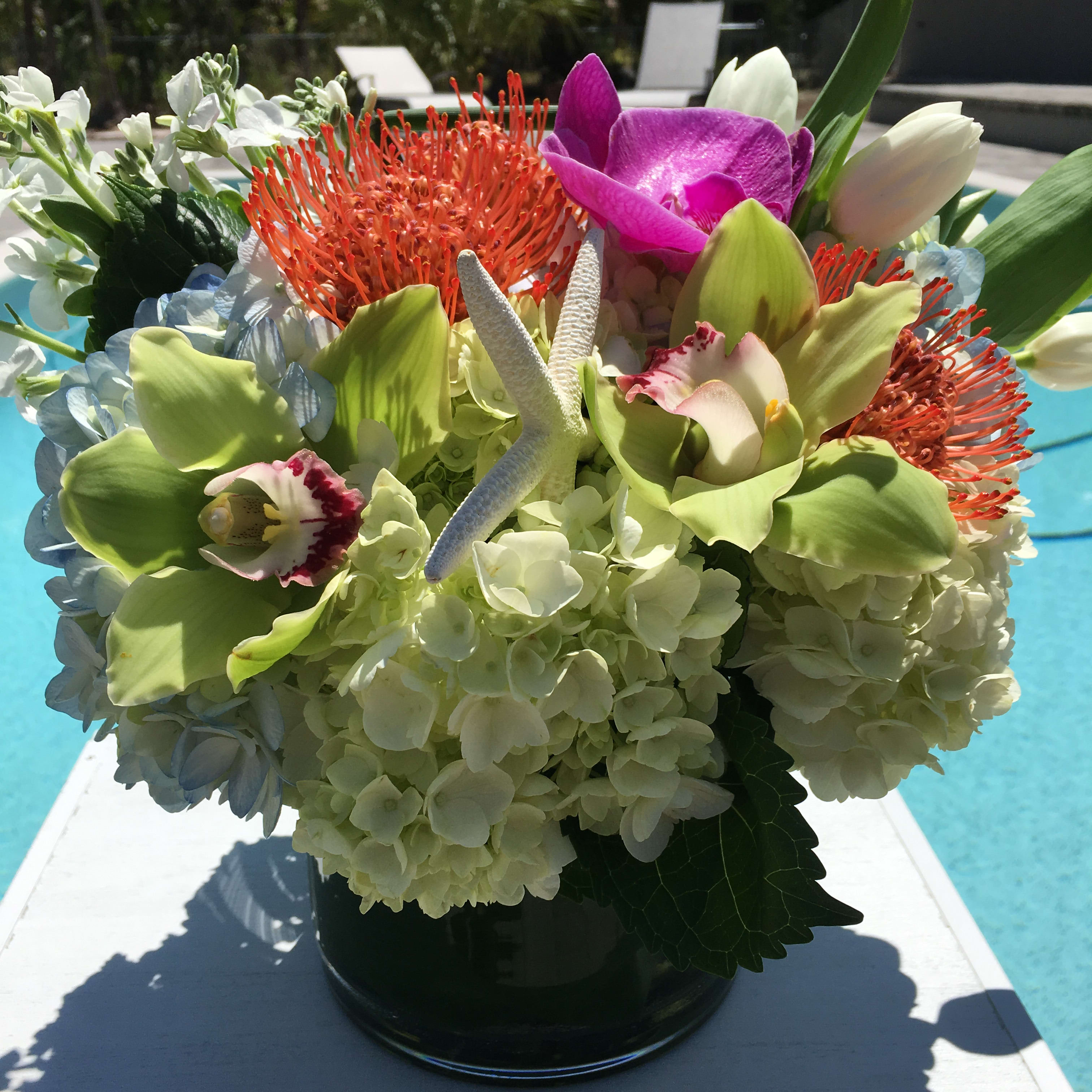 Sea star in Naples, FL Silver Leaf Flowers Naples