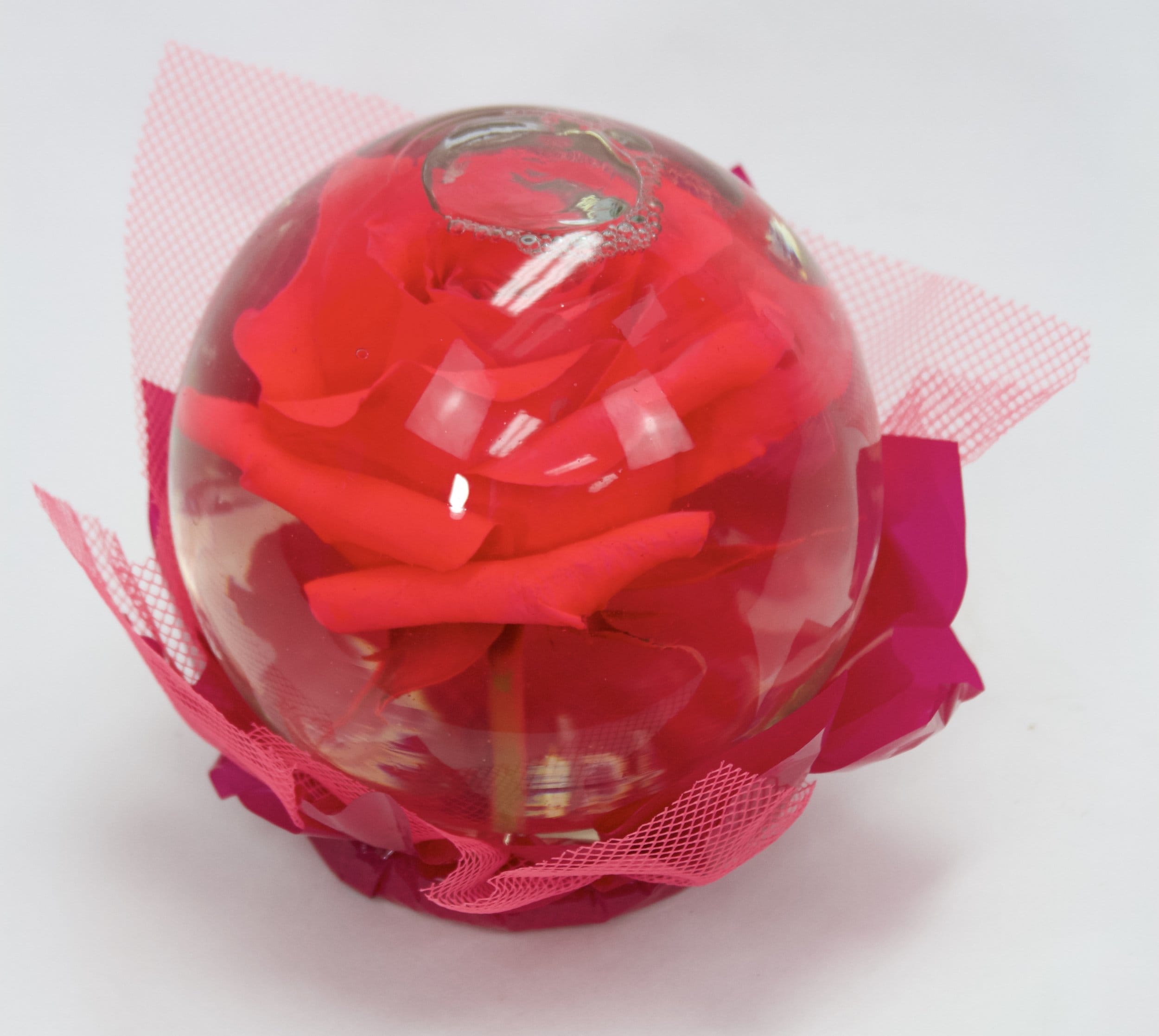 Rose in Glass - One of our new POPULAR Christmas Gifts! Order one before they’re all gone!  Large Rose in Glass - LASTS approximately 5+ Months!  Have a specific color preference? Leave a not at checkout with preferred color! 