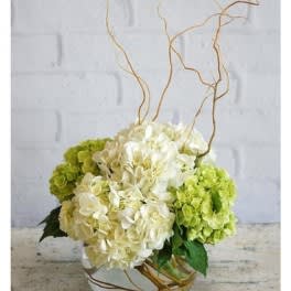 Designs of Inspiration -  Sometimes Something So Simple Can Be The Most Appropriate Thing to Send Someone . This Arrangement Has a Classy Modern Touch , For all Occasions .