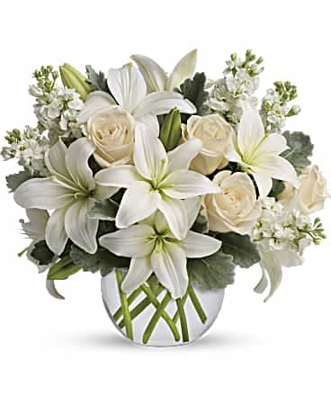 Isle of White Isle of White - Breathtaking! Blooms of bright white and cream are rich with texture and innocent beauty. Presented in a versatile bubble vase she'll use later for roses, tulips, potpourri, and candlelit centerpieces, this is a fabulously fragrant choice for a bride-to-be, your beloved mom, or an old friend.