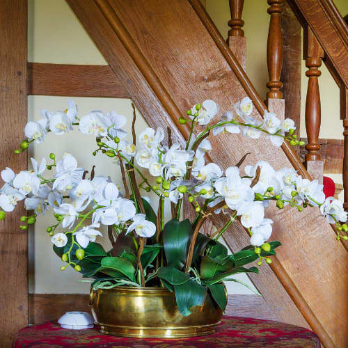 White Water Orchid Bouquet By Seattle Botanical Company White Water Orchid Bouquet By Seattle Botanical Company
