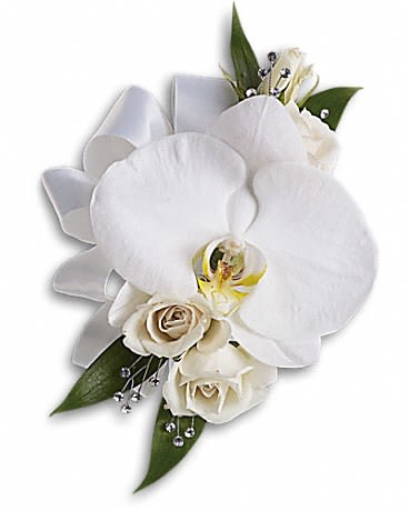 White Orchid and Rose Corsage - Stunning, snow-white blooms are both elegant and versatile. A lovely white phalaenopsis orchid with white spray roses and Italian ruscus.