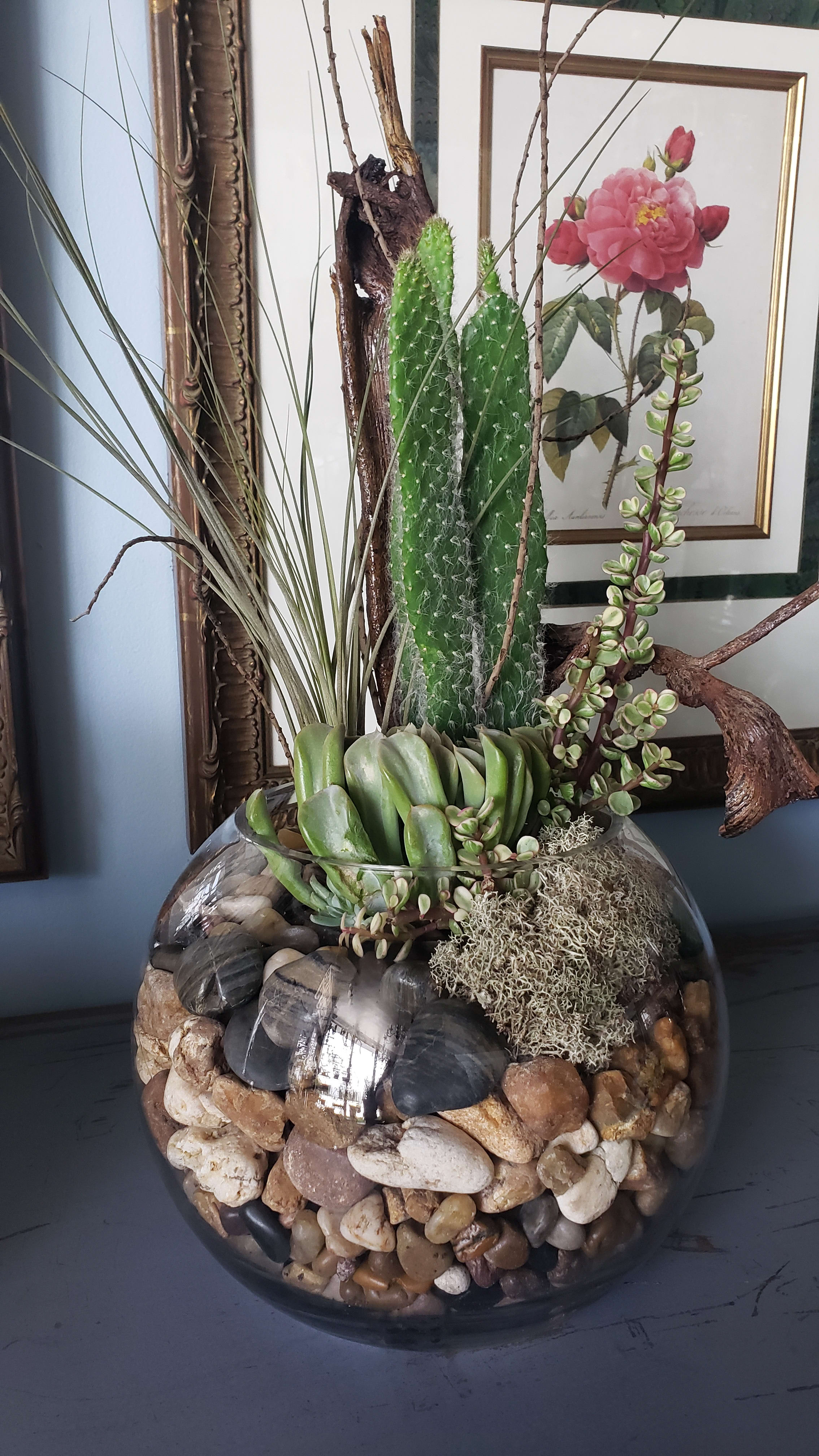 Succulent Bowl Terrarium in West Palm Beach, FL Belden's Florist
