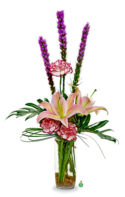 Touch Of Class In North Bergen Nj Flowers Of The Field Touch Of Class In North Bergen Nj Flowers Of The Field