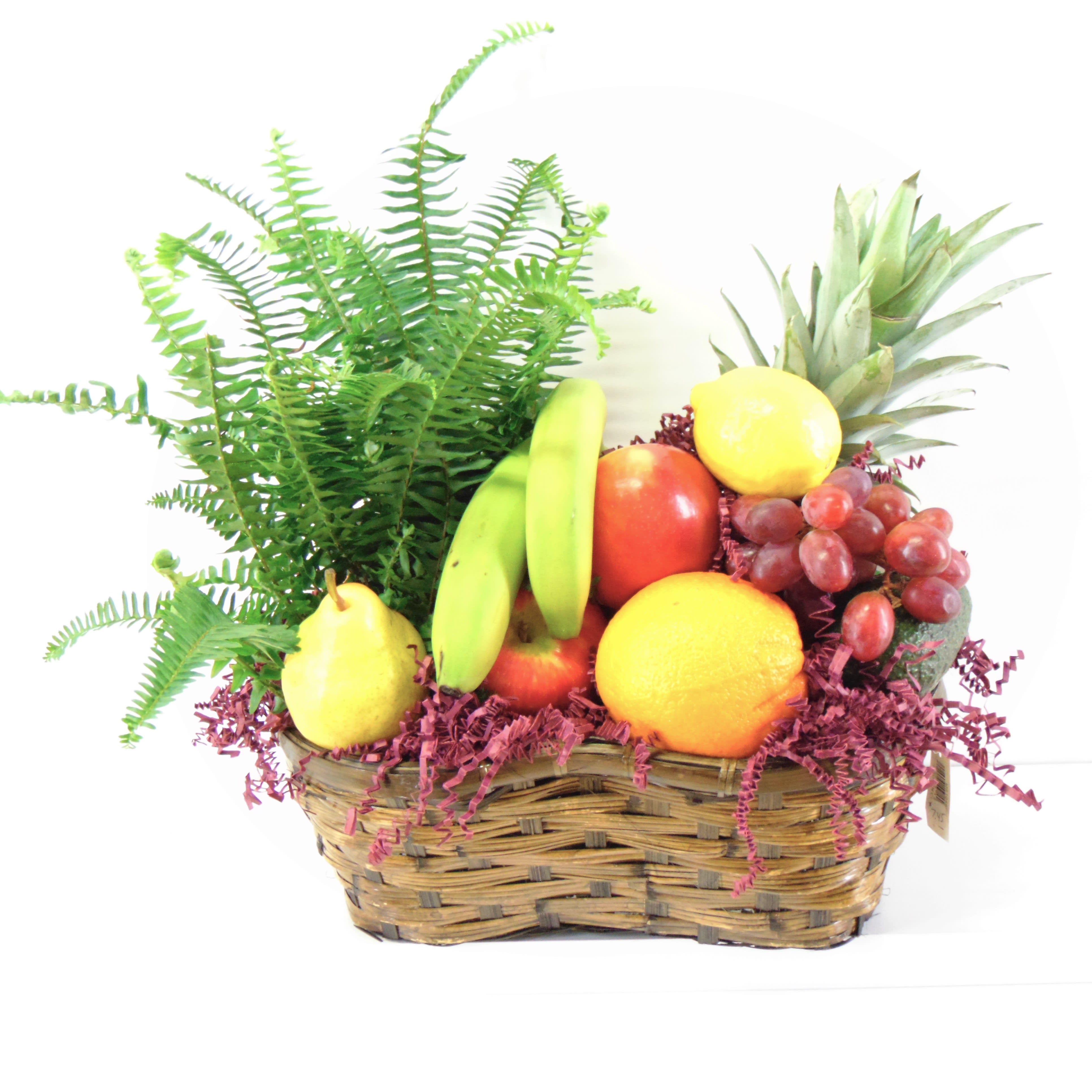 Fruit & Plant Gift Basket in Avon, NY Avon Floral World & Gift Shoppe