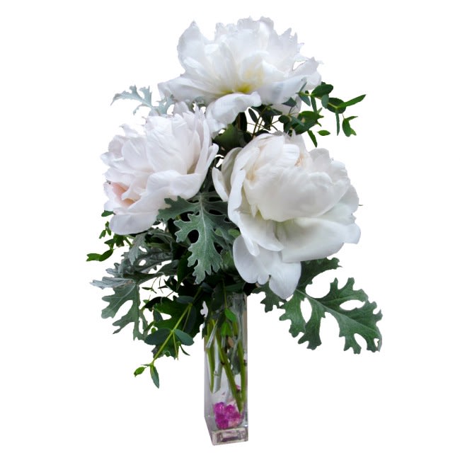 Peony Bud Vase in San Diego, CA House of Stemms