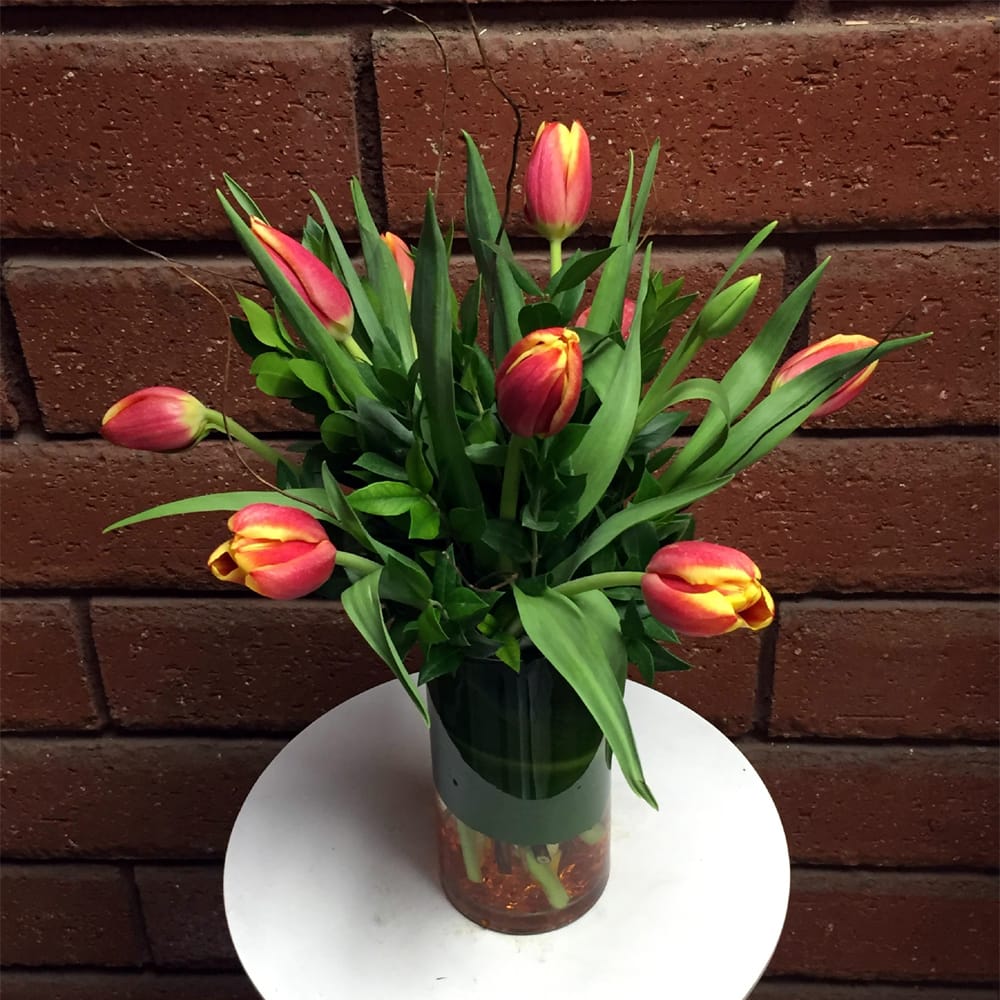 Orange Tulips Vase in San Diego, CA House of Stemms