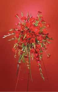 SF71-31 Red Monochromatic Spray - As Shown : SF71-31