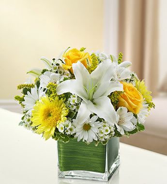 Healing Hearts Yellow and White - Healing Hearts Yellow and White 