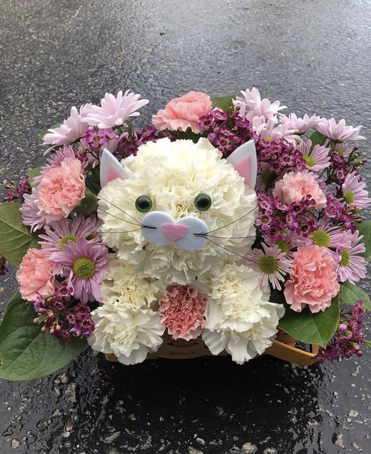Flower cat sales