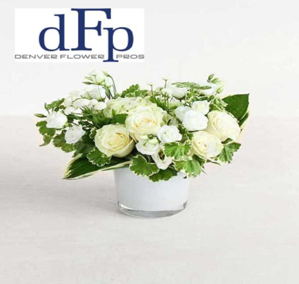White Pave Arrangement White Pave Arrangement - A large Pave white flower arrangement by Denver Flower Pros . This is a premium white flower arrangement, with premium white flowers. Good for a sympathy, at the funeral, or for somebody who adores white flowers. Arrangement is all round , about 2 feet high and 2 -3 feet wide