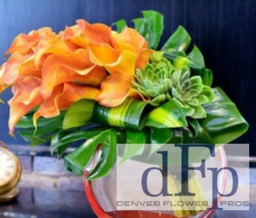 Mini Calla Extravaganza - A really creative way to display Mini Calla. Colors are subject to availability, especially in the 20-30 stem options. No matter what color we use , this is a phenomenal product.  