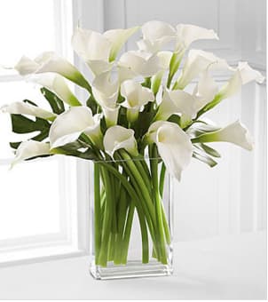 Simplicity Luxury Calla Lily Bouquet - Picked fresh from the farm to bring peace and serene simplicity to your special recipient's day with the beauty and sophistication of our gorgeous white calla lilies, this luxury bouquet is sure to please. Hand gathered at select floral farms and conceived for the recipient with modern sensibilities, this stunning bouquet exudes a quiet charm situated in a premium clear glass rectangular vase to help express your every emotion in honor of an engagement, as a thank you offering, or to convey your deepest sympathies. Includes: 20 stems of full size white calla lilies, exotic foliage and a superior glass rectangular vase. Approximately 26&quot;H x 26&quot;W. Your purchase includes a complimentary personalized gift message.
