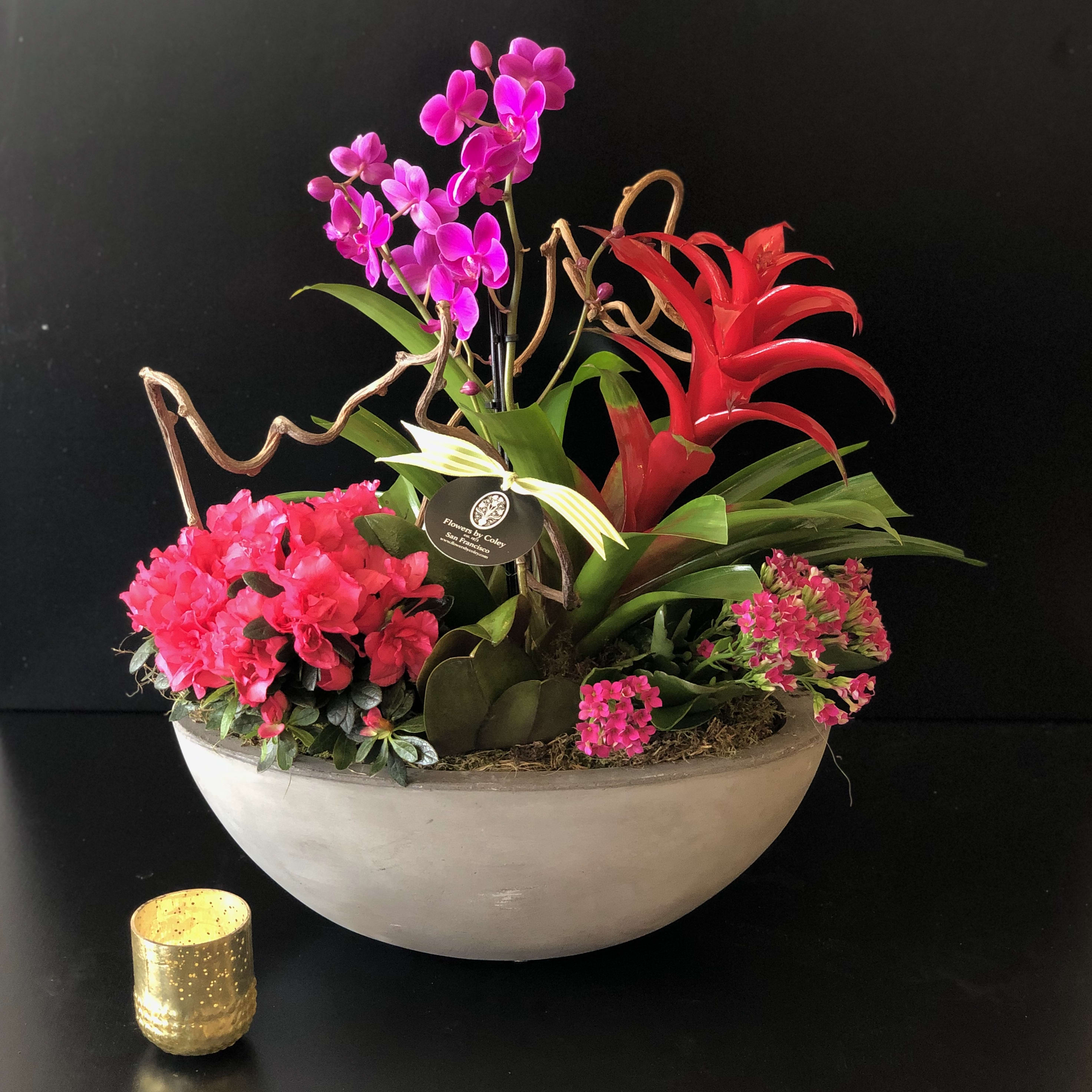 Tropical Living Garden by Flowers by Coley SF