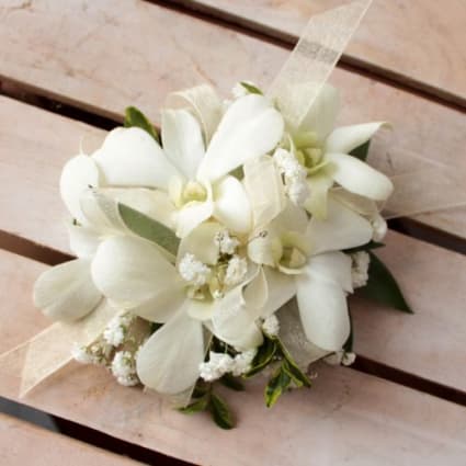 White Dendrobium Orchid Wrist Corsage In Wilmington Ma Designs By Don White Dendrobium Orchid Wrist Corsage In Wilmington Ma Designs By Don