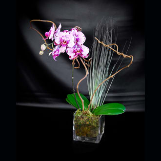 Amazing By Love S Flower Shop