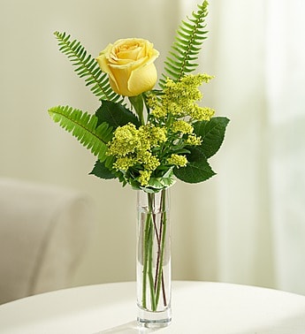 Love's Embrace Roses - Yellow 1 stem - Product ID: 1052131  Brighten any celebration with a beautiful and brilliant bouquet of exquisite long-stem yellow roses. Hand-designed by our select florists, it's a stylish and vibrant gift that's sure to bring sunny smiles to their day. Our florists select only the finest, freshest long-stem yellow roses and arrange them by hand with fresh solidago Available in bouquets of 6 stems, 3 stems or a single yellow rose 6-stem arrangement in an 5&quot;H glass cube vase measures approximately 7.5&quot;H x 5.5&quot;L 3-stem arrangement in a glass bud vase measures approximately 16&quot;H x 4&quot;L Single-stem arrangement in a bud vase measures approximately 16&quot;H x 4&quot;L Our florists hand-design each arrangement, so colors, varieties, and container may vary due to local availability