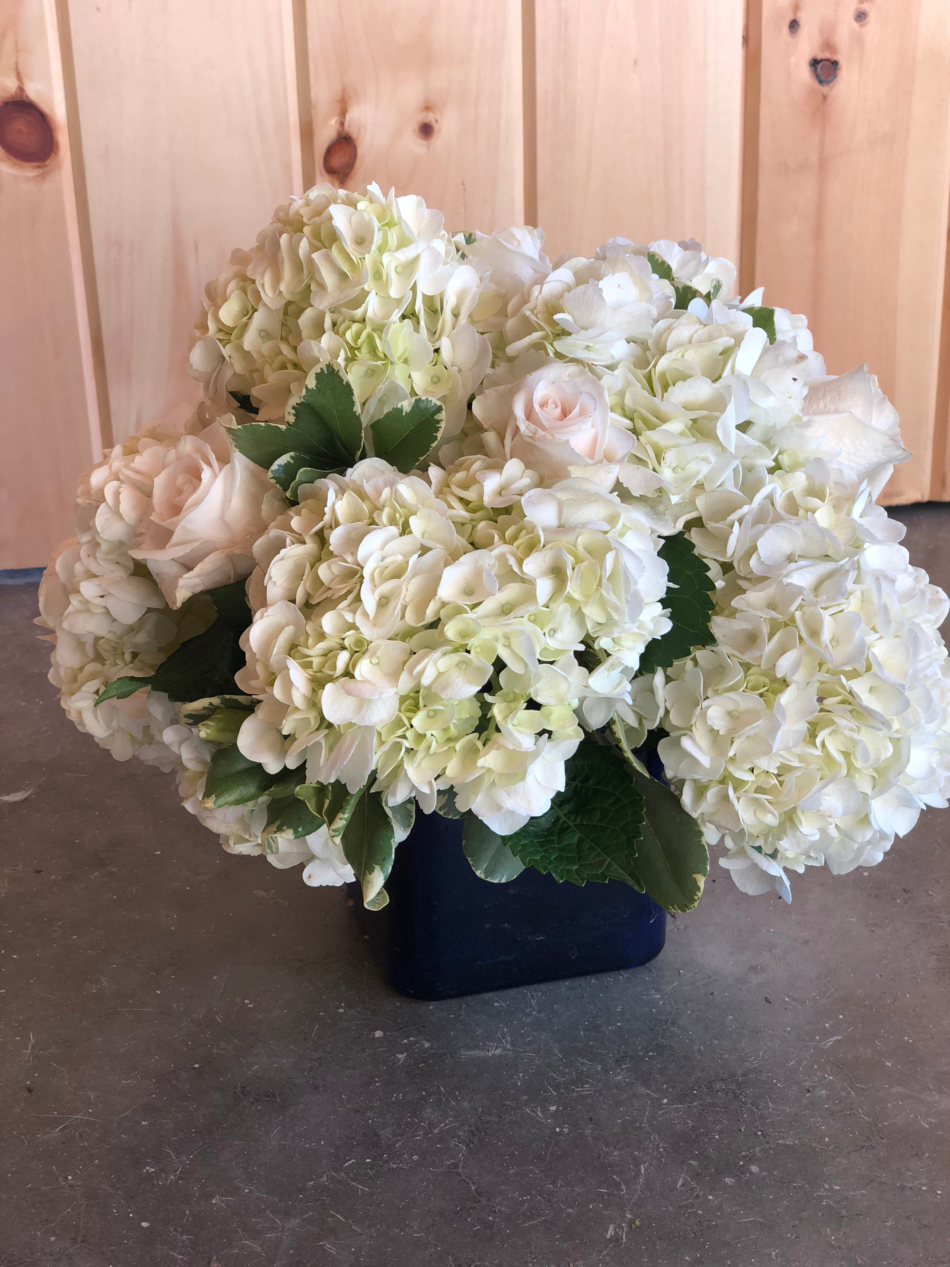 Hydrangea Rose in Derry, NH Springlook Farm Garden Center Nursery Fl